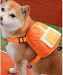 Guia Pet Mochila - Praticidade em Passeios para Aventuras Confortáveis