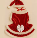 Roupinha Pet de Natal Papai Noel Roupa Luxo Para Gato e Cachorro vestido e camisa