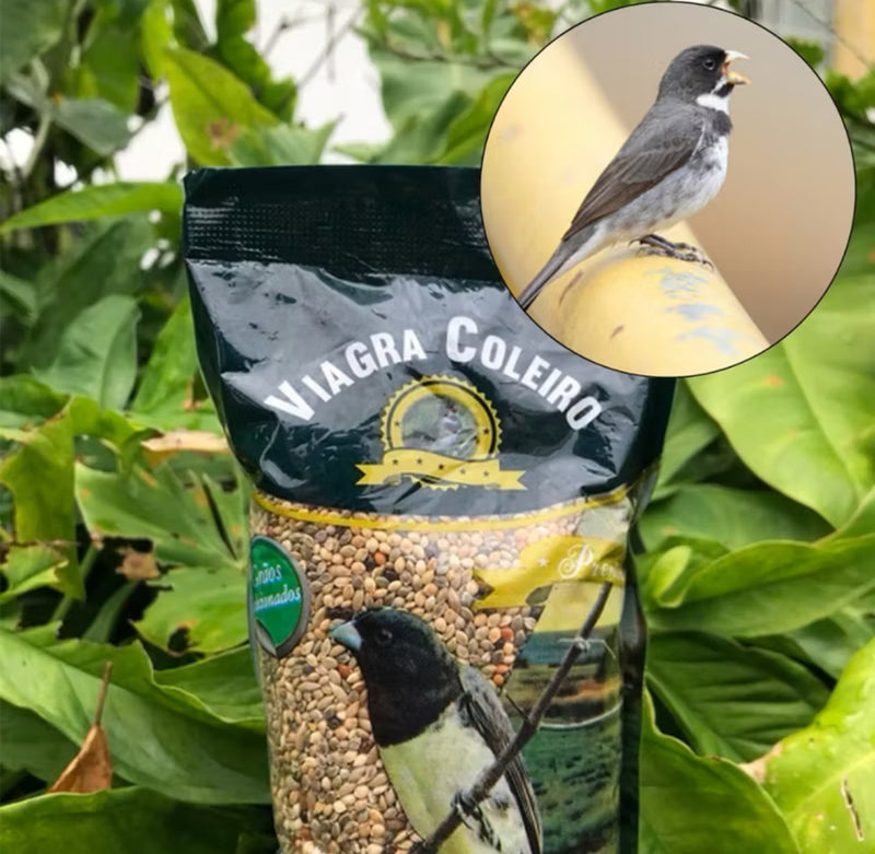 5 Ração Premium Coleiro Viagra Papacapim