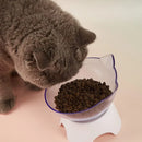 Comedouro e Bebedouro Elevado Ergonômico para Gatos